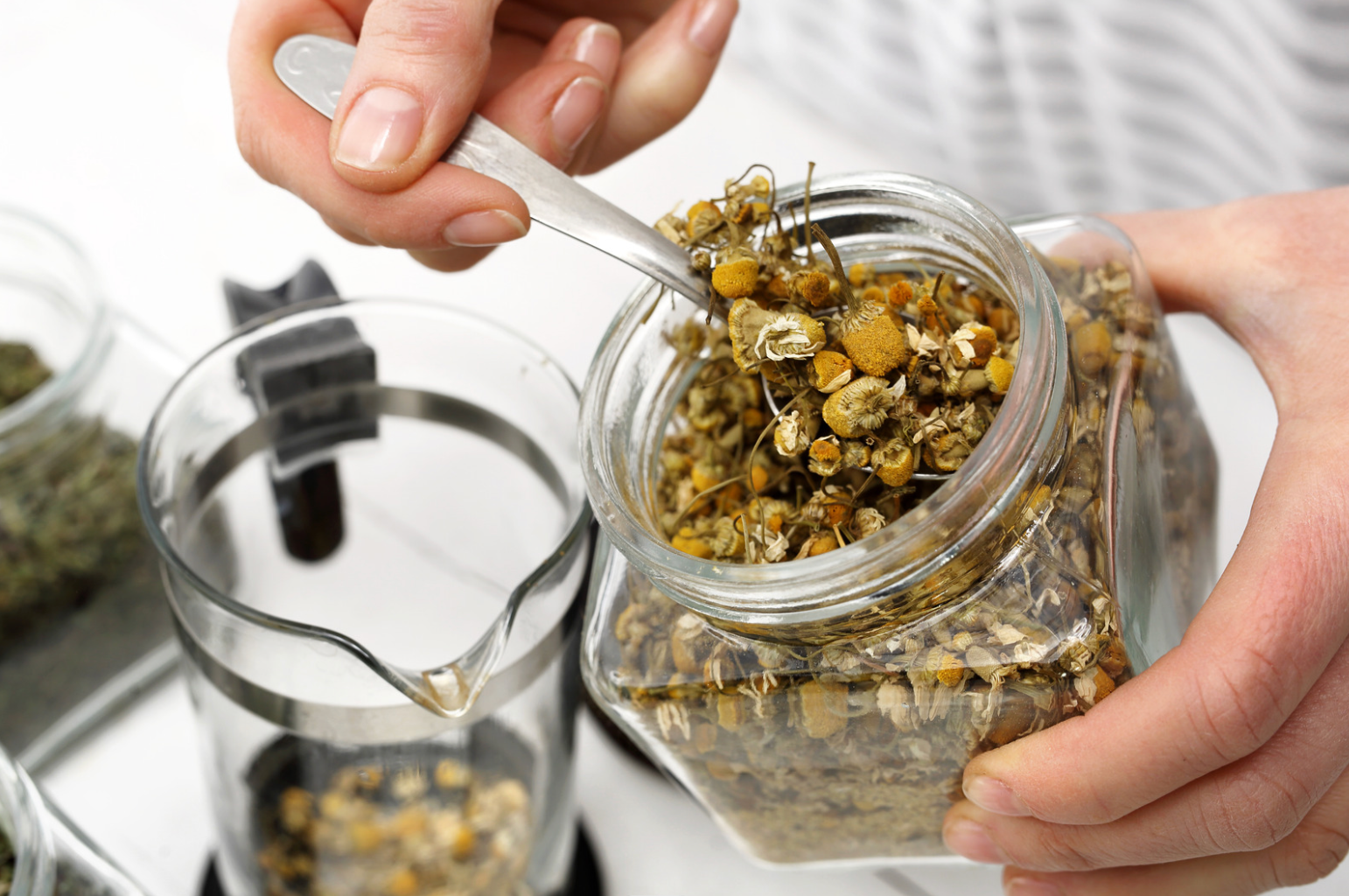 Les plantes au service du bien-être pendant la grossesse