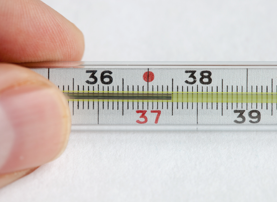 Température basale plate après l'ovulation : ce que ça révèle vraiment sur ta fertilité