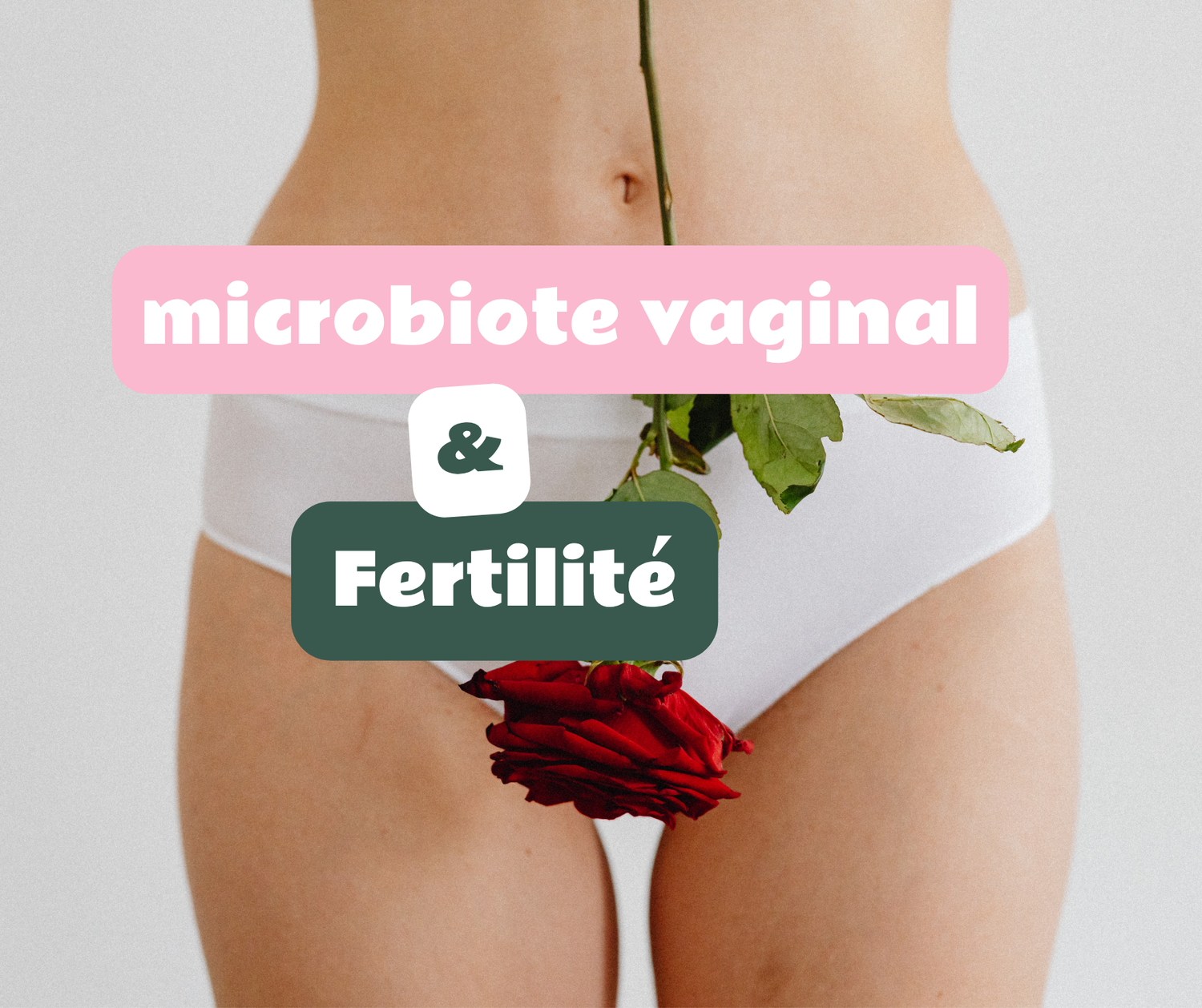 Microbiote vaginal et fertilité